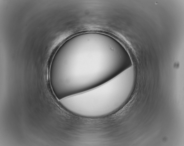 X0000096381269200801240954