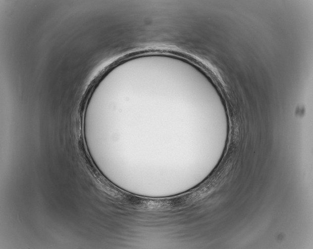 X0000096381271200801240954