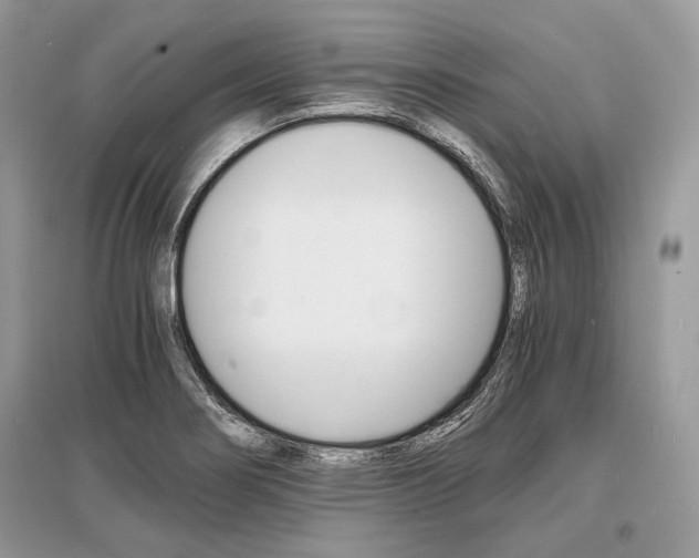 X0000096381274200801240954