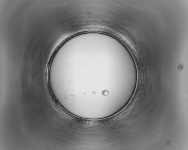 X0000096381275200801240954