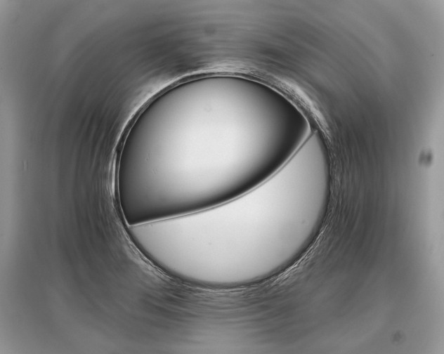 X0000096381276200801240954
