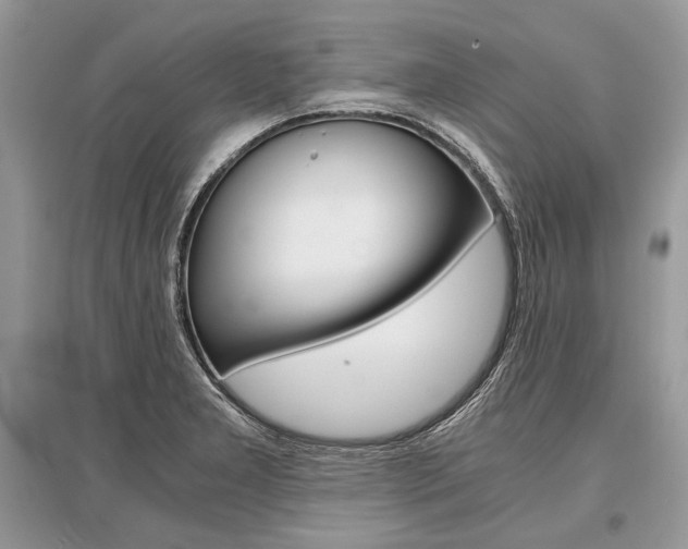 X0000096381277200801240954