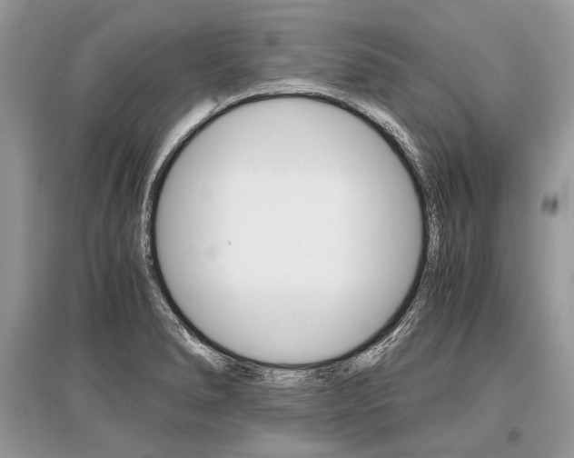 X0000096381278200801240954