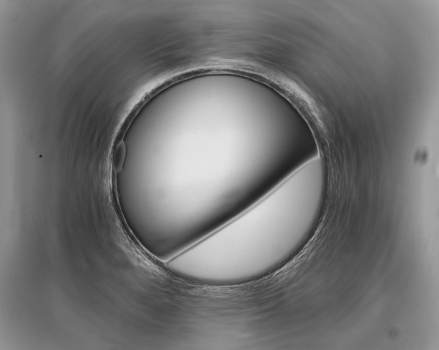 X0000096381280200801240954
