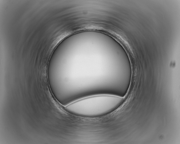 X0000096381281200801240954