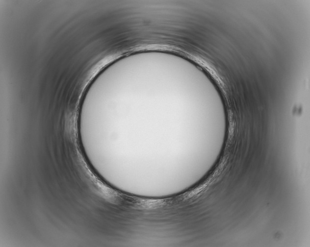 X0000096381282200801240954