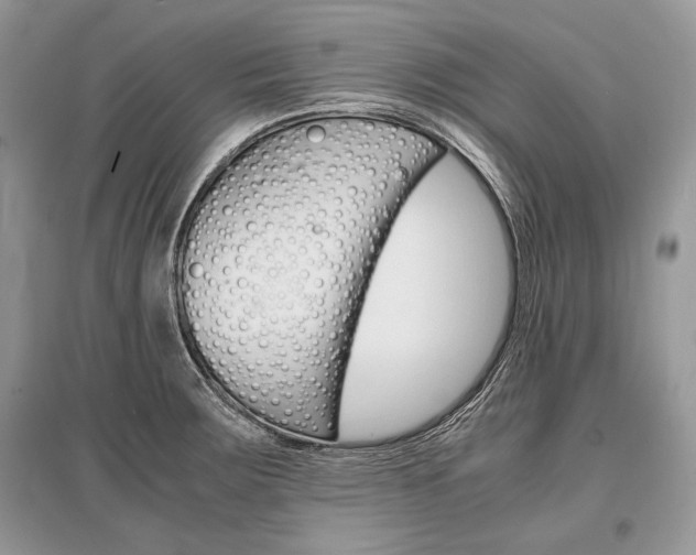 X0000096381283200801240954