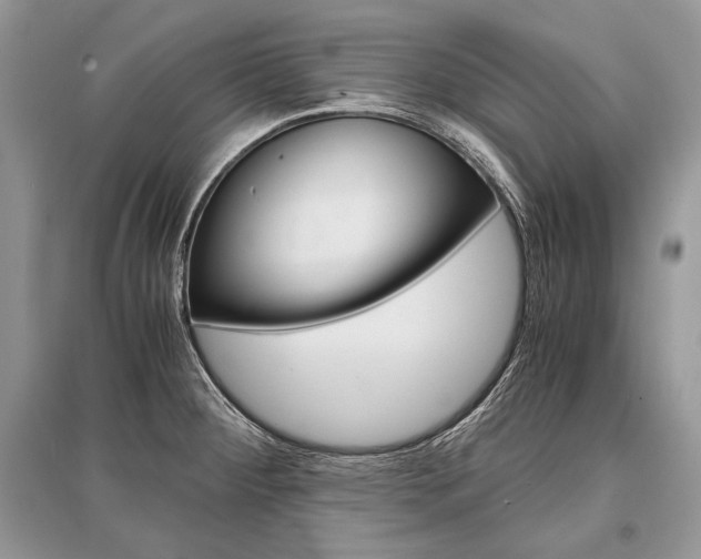 X0000096381284200801240954
