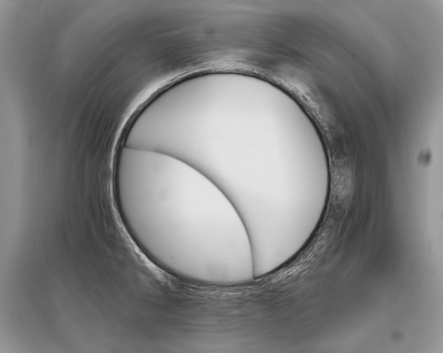 X0000096381286200801240954