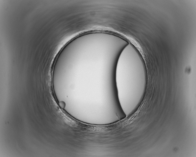 X0000096381287200801240954