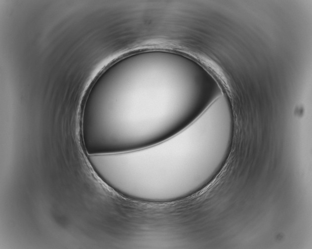 X0000096381288200801240954