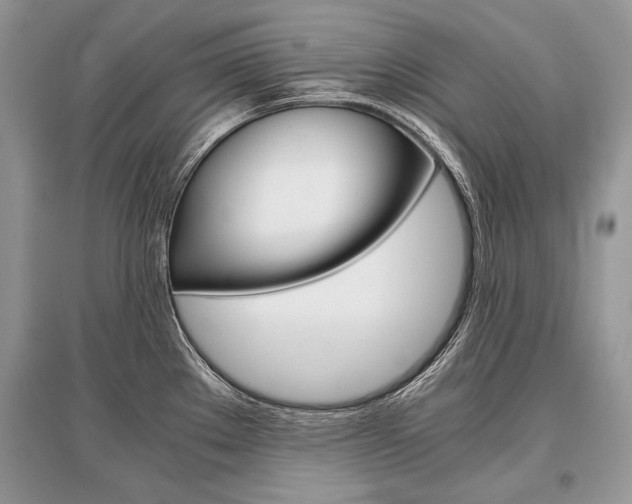X0000096381289200801240954