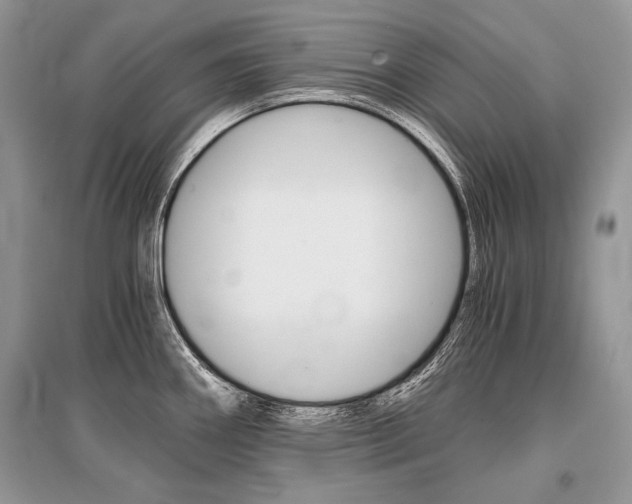X0000096381290200801240954