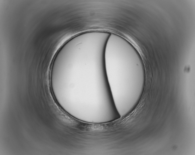 X0000096381291200801240954