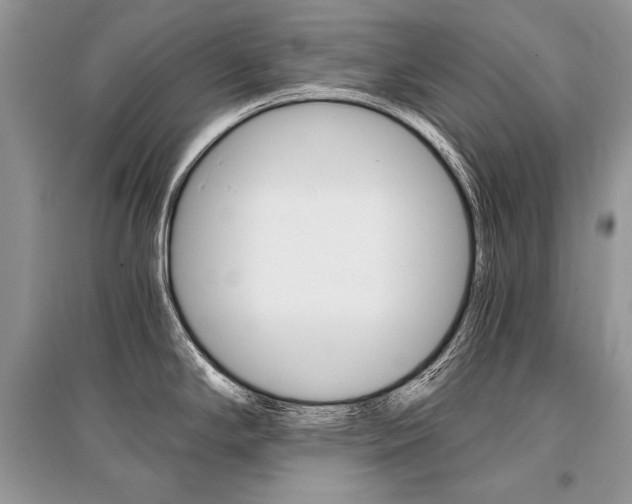 X0000096381294200801240954