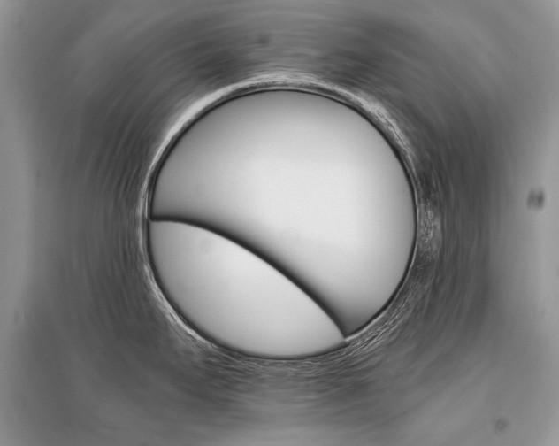 X0000096381295200801240954
