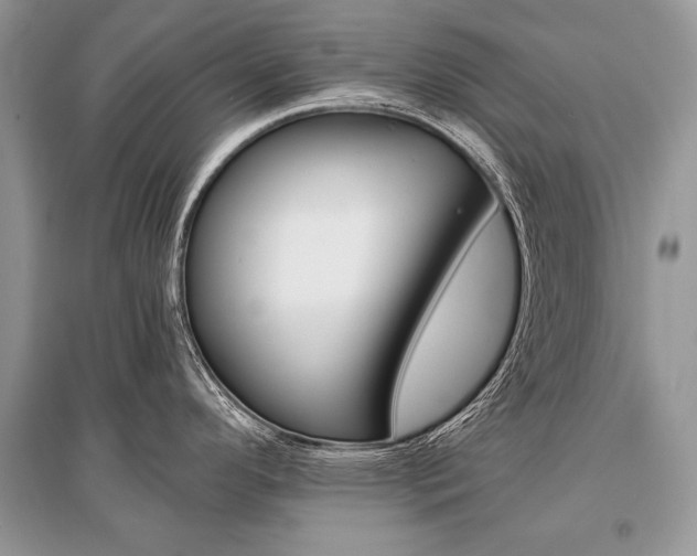 X0000096381296200801240954