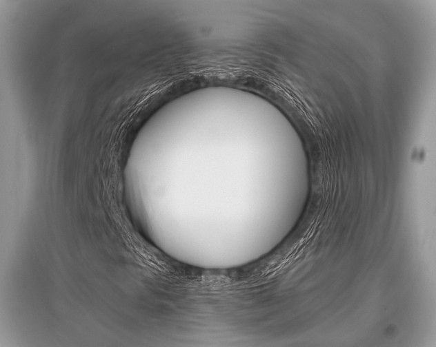 X0000096381297200801240953