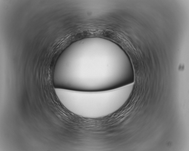 X0000096381298200801240953