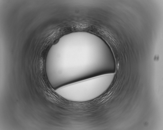 X0000096381299200801240953