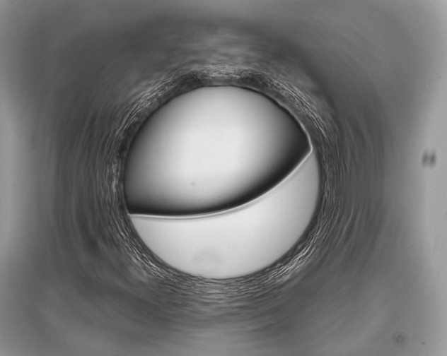X0000096381300200801240953