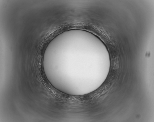X0000096381301200801240953