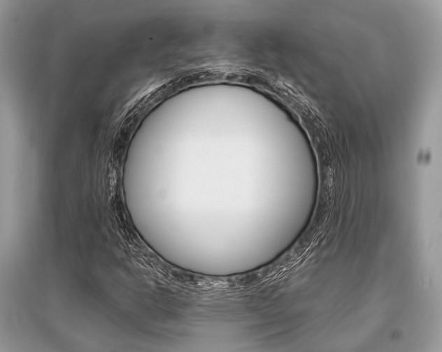 X0000096381302200801240953