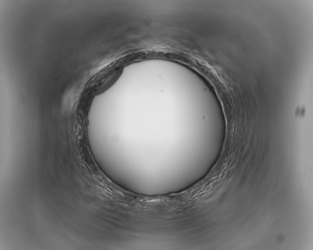 X0000096381303200801240953