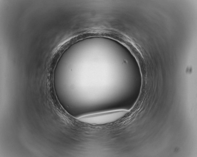 X0000096381304200801240953