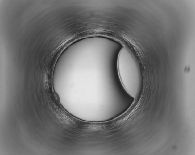X0000096381305200801240953