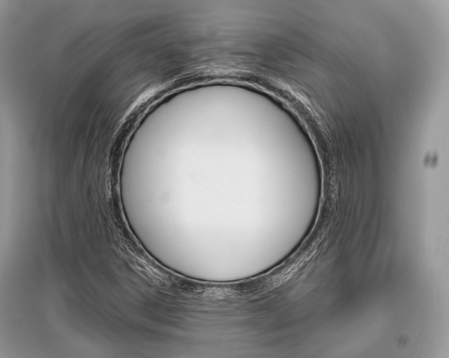 X0000096381306200801240953