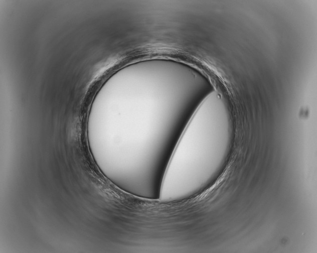 X0000096381309200801240953