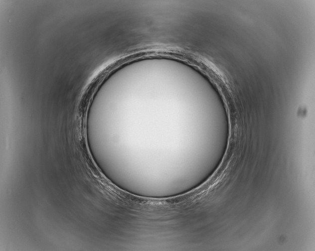 X0000096381310200801240953