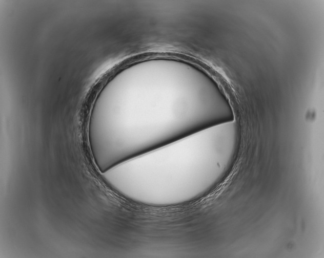 X0000096381311200801240953