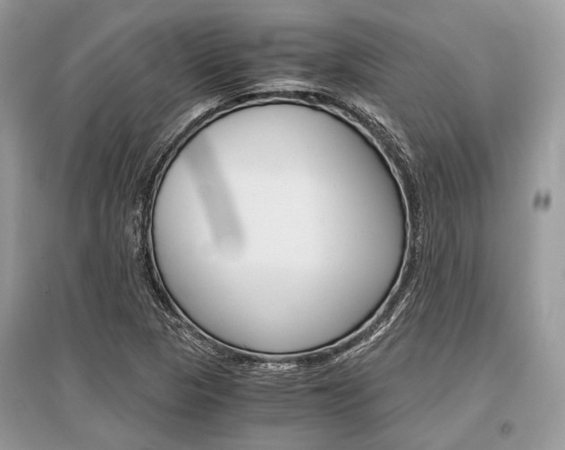 X0000096381313200801240953