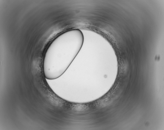 X0000096381314200801240953