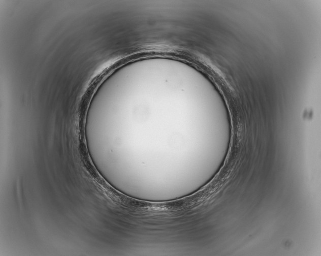 X0000096381315200801240953
