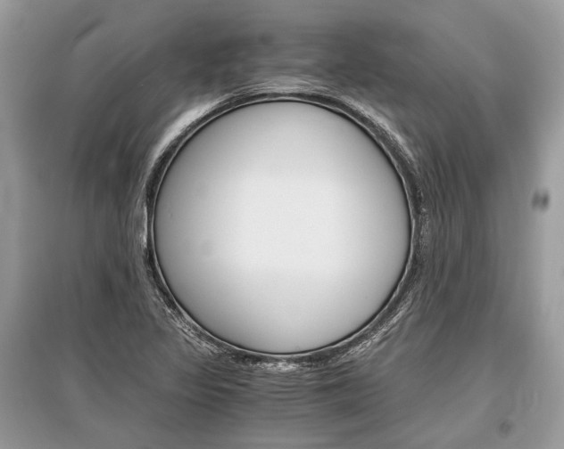 X0000096381317200801240953