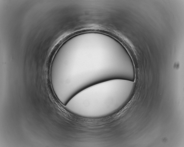X0000096381318200801240953