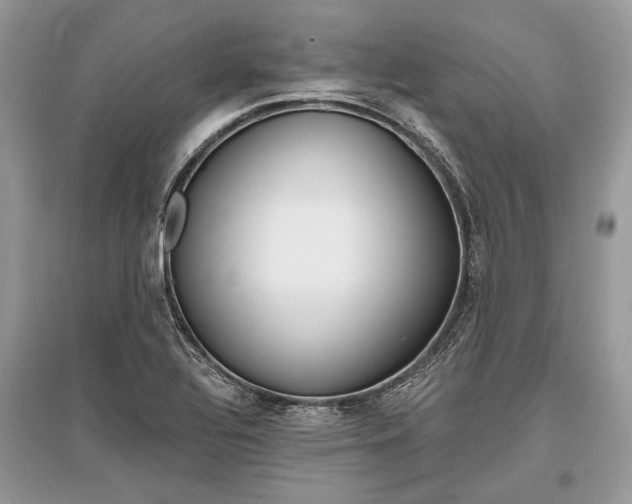 X0000096381320200801240953