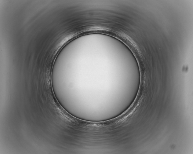 X0000096381321200801240953