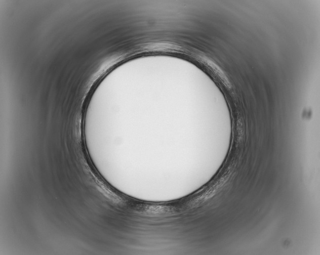 X0000096381322200801240953