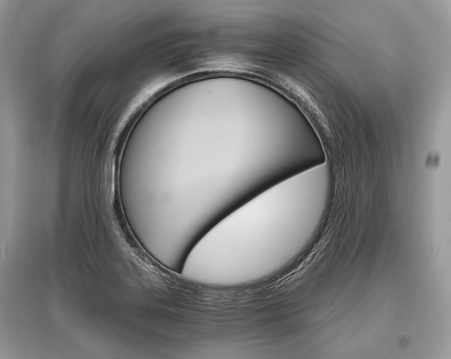 X0000096381323200801240953