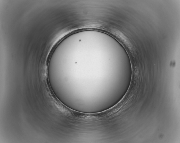 X0000096381324200801240953