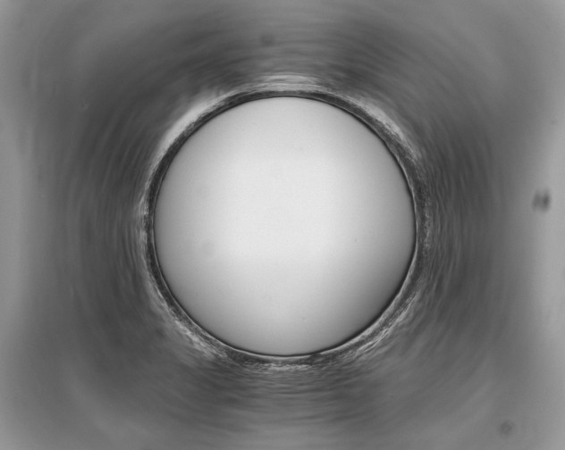 X0000096381325200801240953