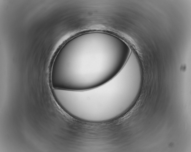 X0000096381326200801240954