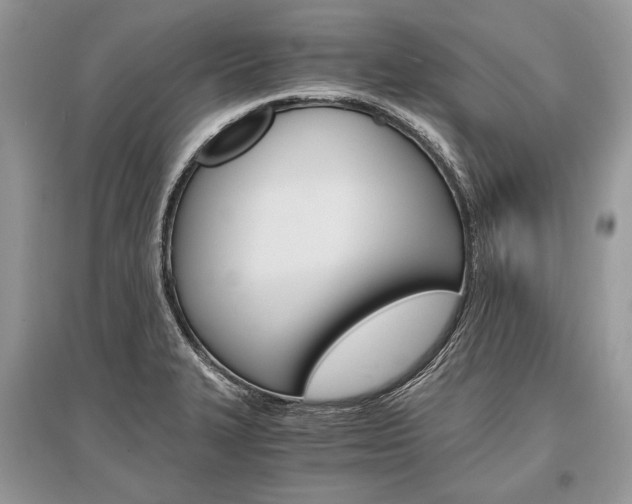 X0000096381327200801240954