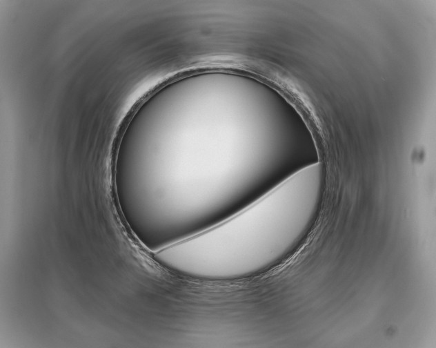 X0000096381328200801240954