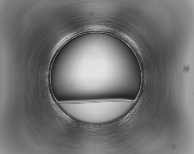X0000096381330200801240954