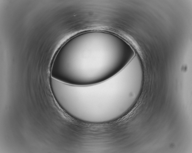 X0000096381332200801240954
